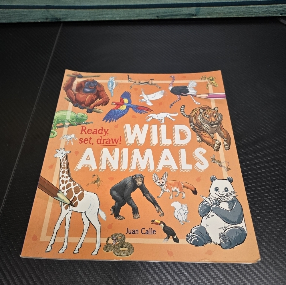 ready set draw wild animals kids book by Juan calle